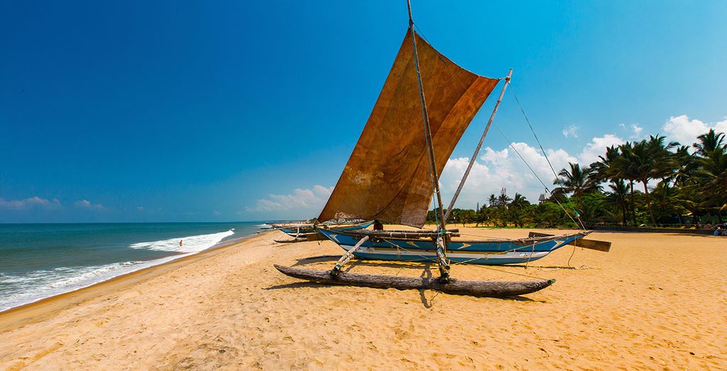 Tour di 7 notti nello Sri Lanka con possibile estensione a Wadduwa