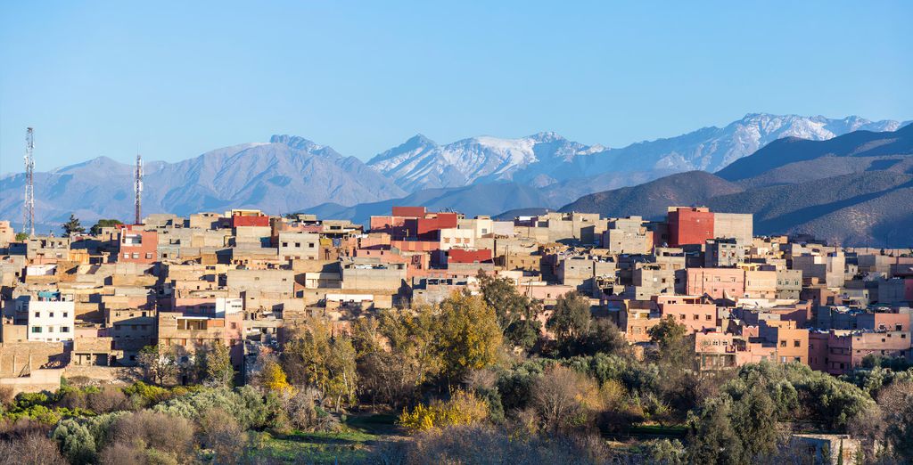Tour: Safari in 4x4 ed esperienza in mongolfiera
