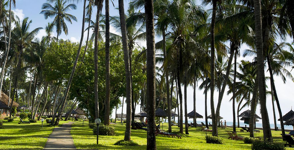 Neptune Village Beach Resort 4* con possibile safari