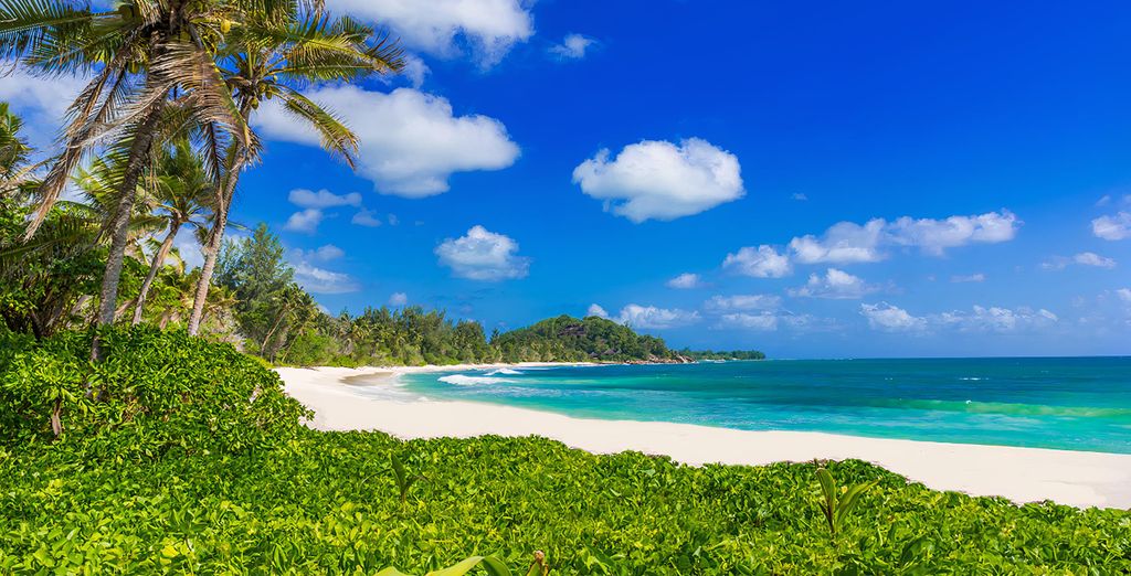 Acajou Beach Resort 4*