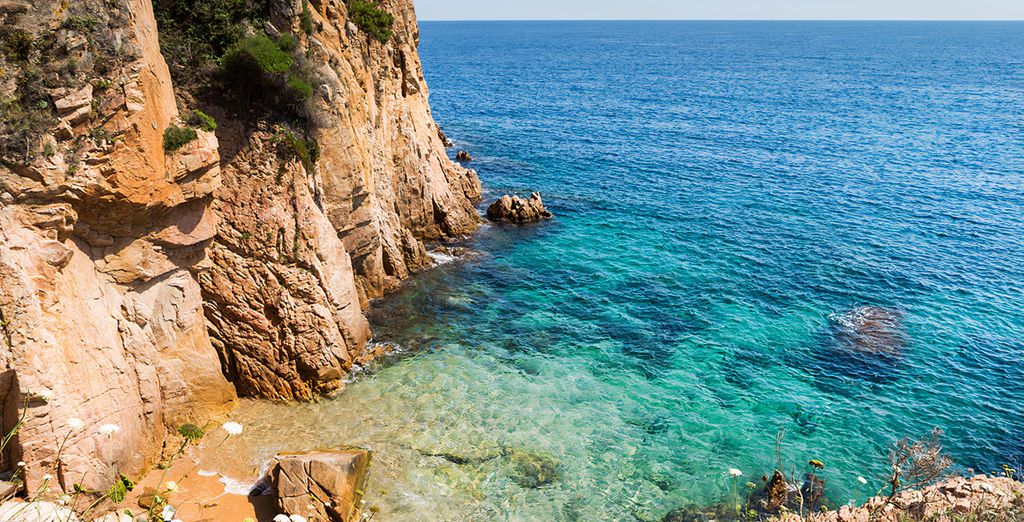 Kaktus Playa 5*