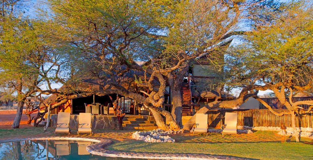 Safari self-drive alla scoperta della Namibia