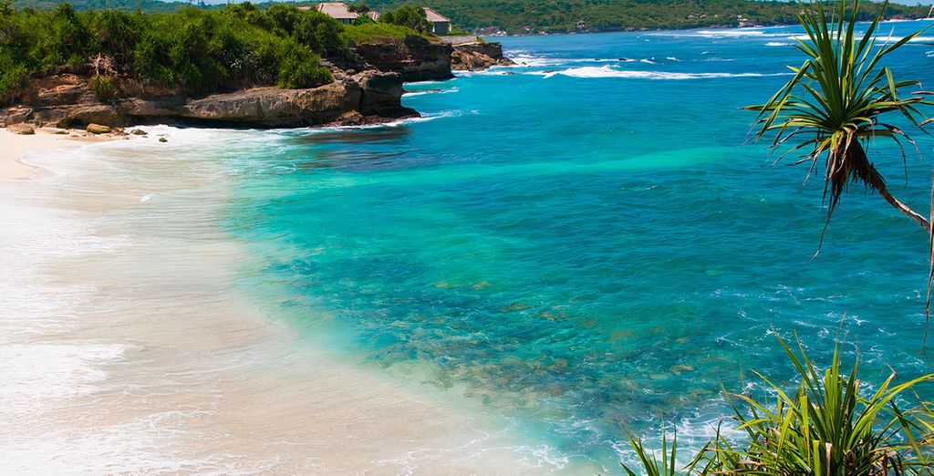 Mansion Baliwood 4*, Mahagiri Resort Nusa Lembongan 4* & Mövenpick Jimbaran Bali 5*