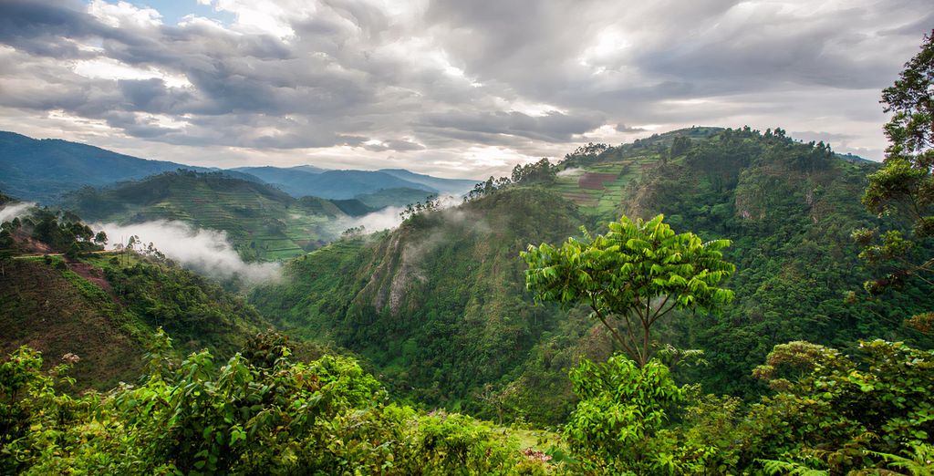 Tour Le Perle dell'Uganda in 10 notti