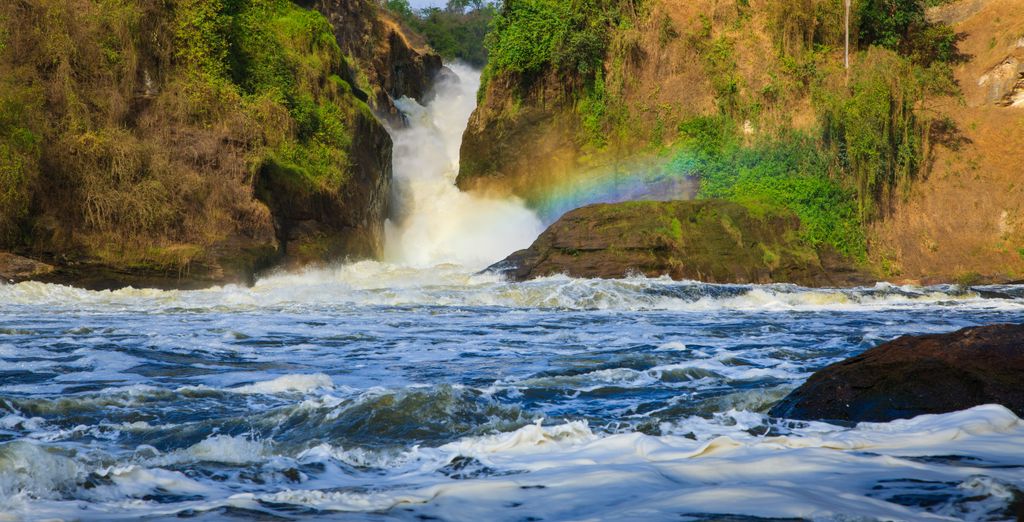 Tour Le Perle dell'Uganda in 10 notti