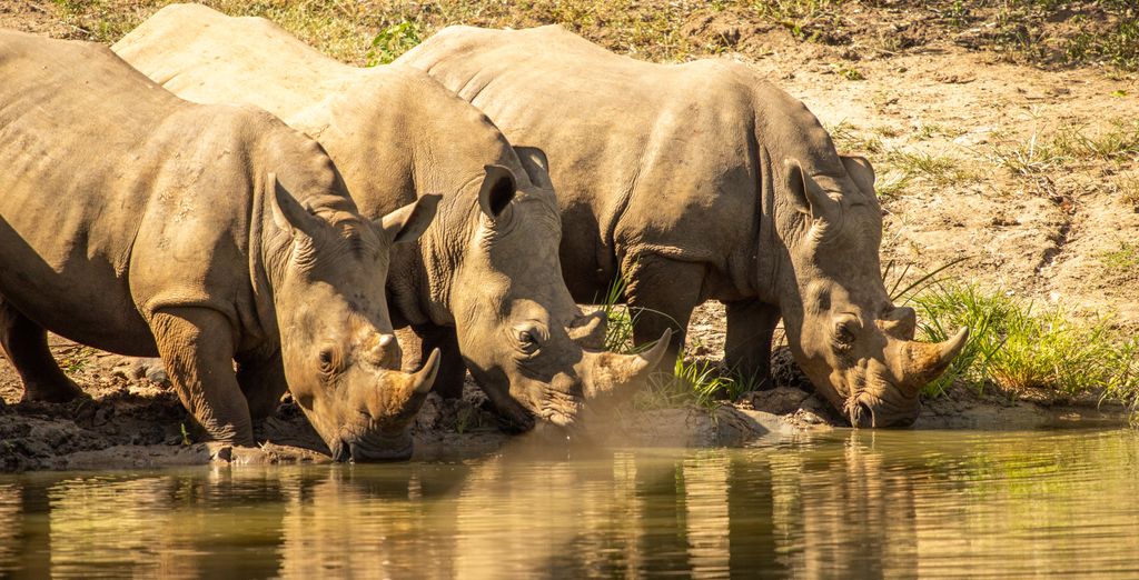 Tour Le Perle dell'Uganda in 10 notti