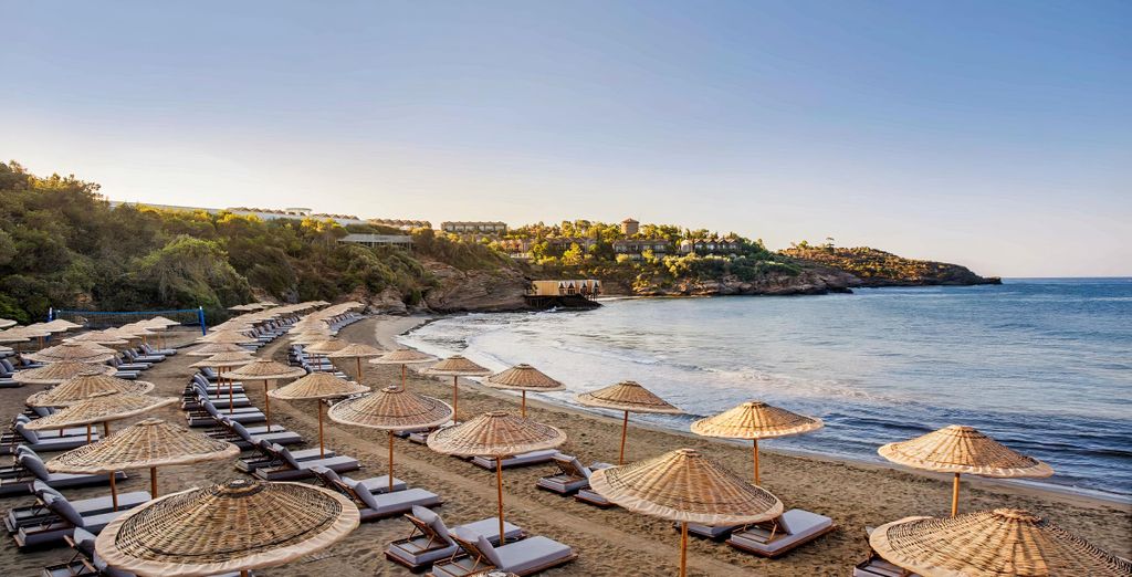 Club Marvy 5*