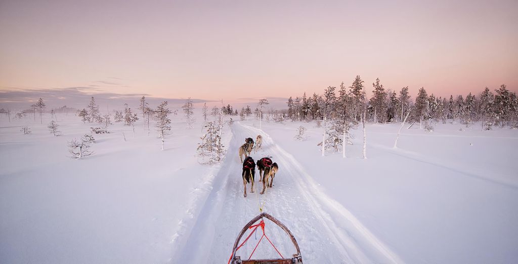 Star Arctic Hotel 4*
