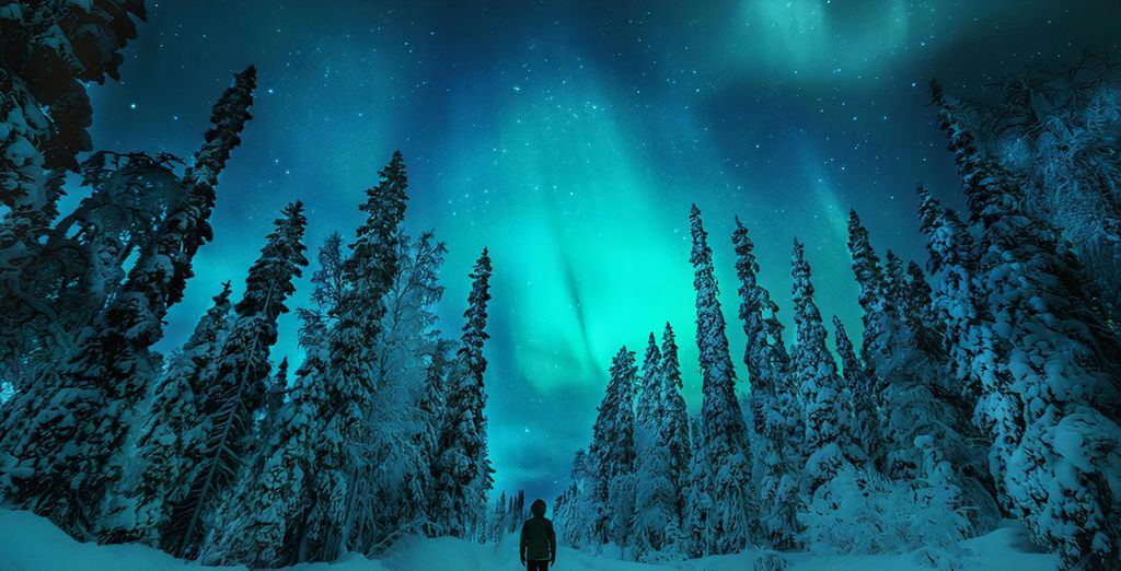 Star Arctic Hotel 4*
