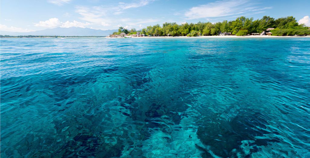 Combinato Alaya Resort Ubud 5*, Kardia Resort Gili 4* e Renaissance Bali Uluwatu Resort & Spa 5*