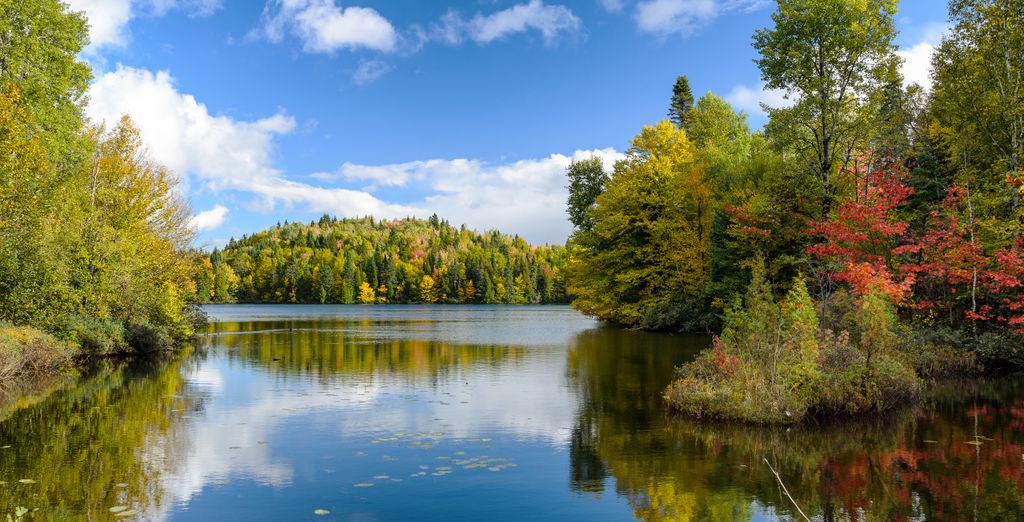 Autotour di 8 o 11 notti per un'estate indiana in Quebec 