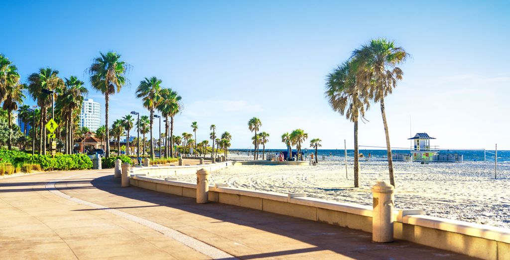 Nine Night Self-Drive Tour of the Sunshine State