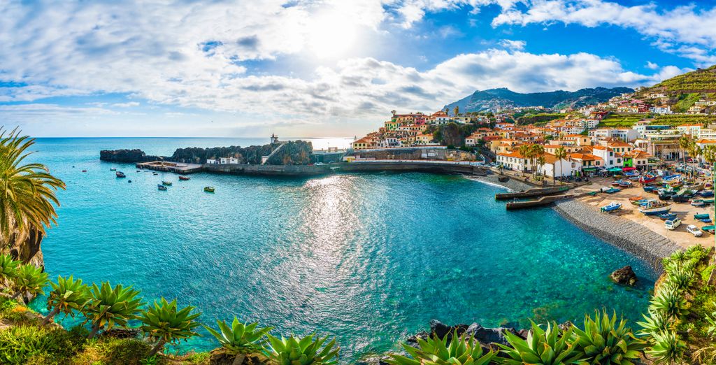Tour di gruppo: L'eterna primavera portoghese