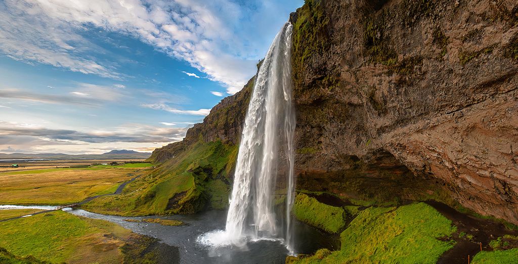 Tour in auto: Geyser, ghiacciai e cascate impressionanti