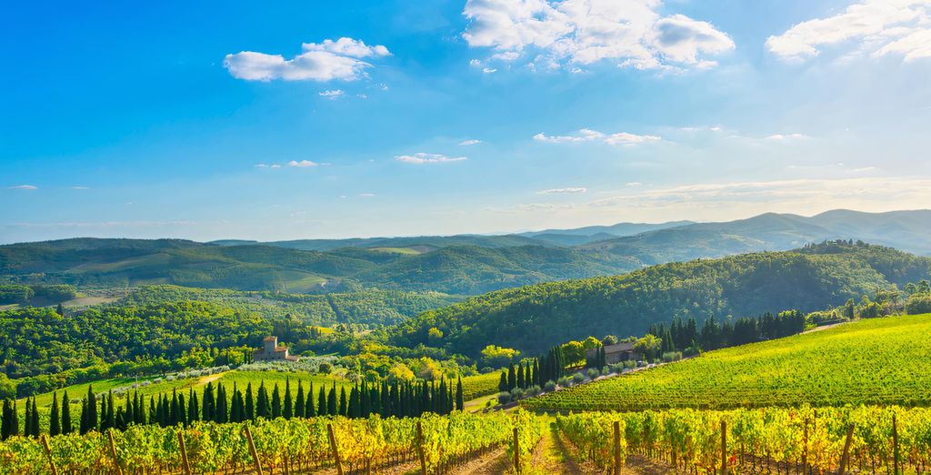 Il Castello di San Ruffino 4*