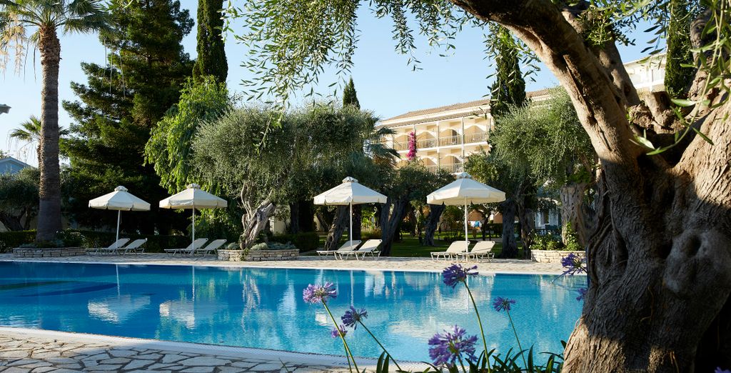 Hotel Delfinia 4*