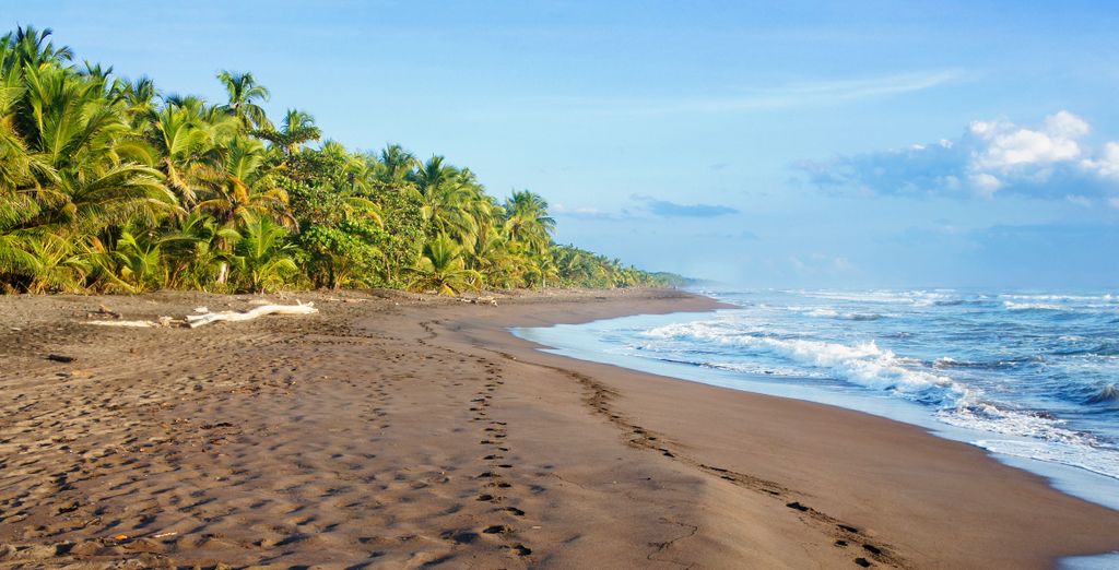Autotour di 7, 9 o 11 notti nella meravigliosa giungla costaricana