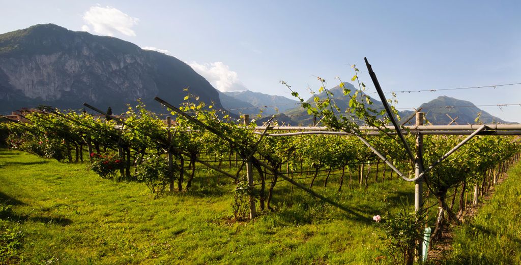 Villa Nicolli Romantic Resort 4* - Adults Only