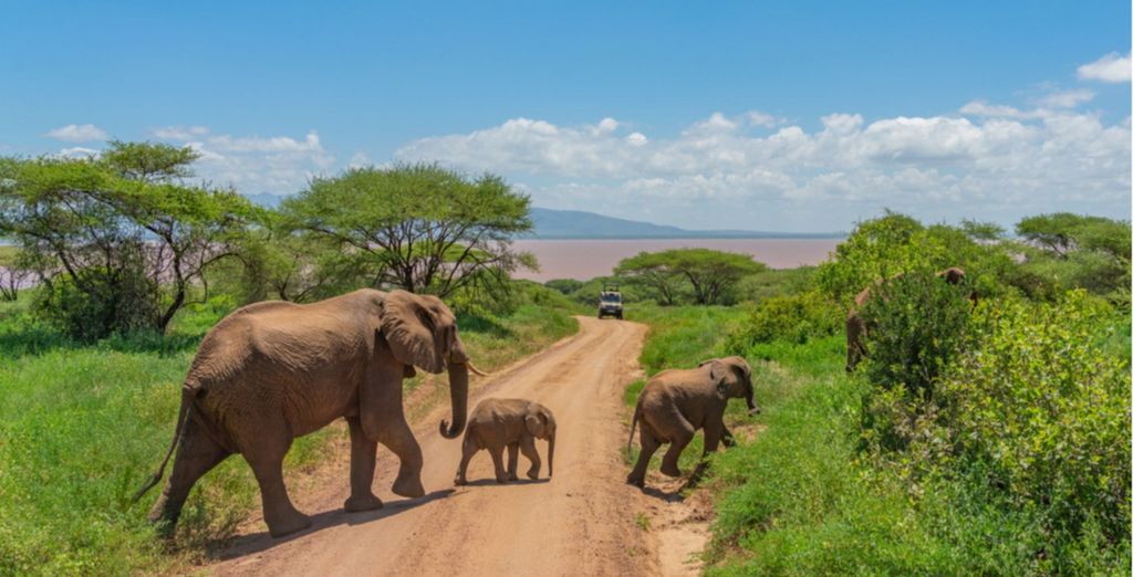 Circuito combinado Tanzania y Zanzibar con Dongwe Club 5*