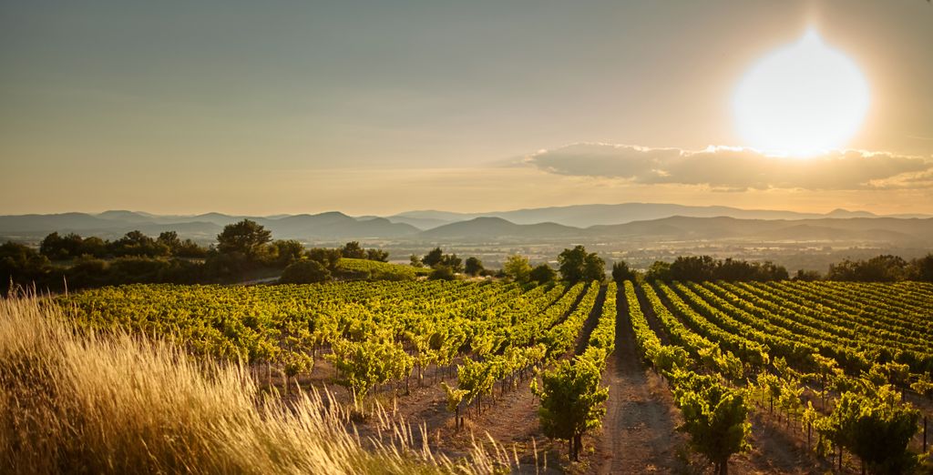 Tour enologico dell'Occitania in hotel 4* e 5*