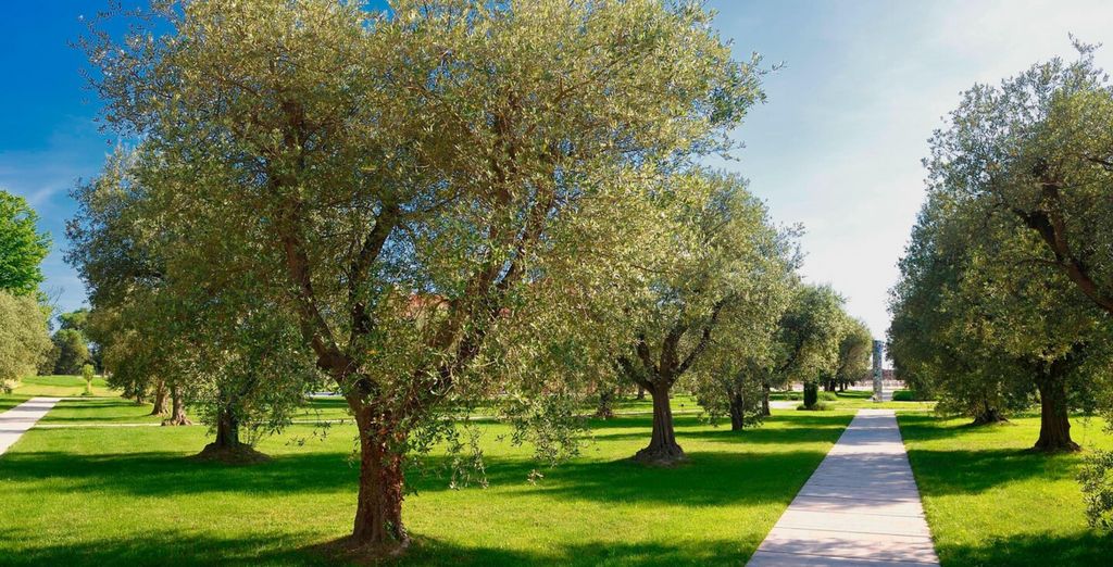 JW Marriott Venice Resort & Spa 5*