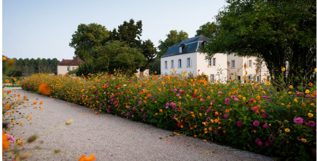 Château de Saulon 4*