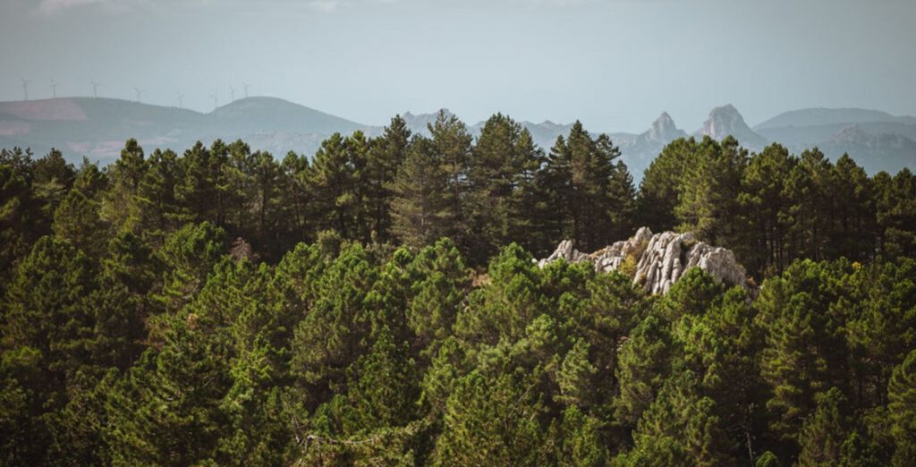 Vallicciola Monte Limbara Nature Hotel 4* con Sardinia Ferries