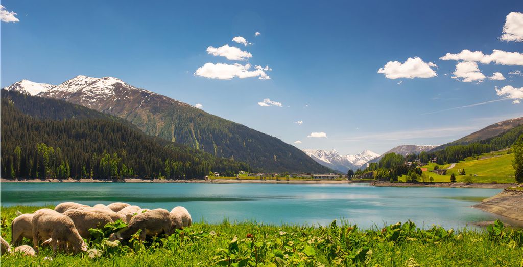 Hilton Garden Inn Davos 4*