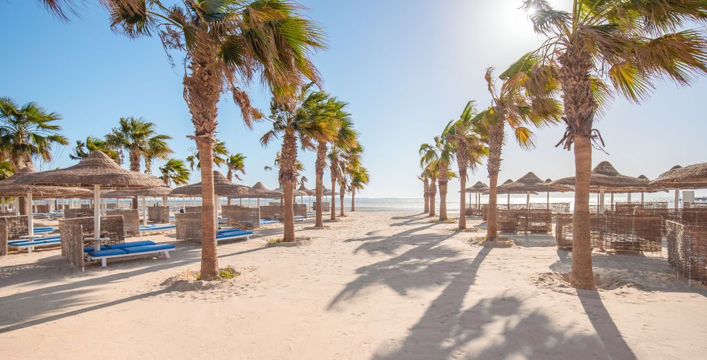 Albatros Beach Club Soma Bay 4* con Crociera sul Nilo 5* opzionale 