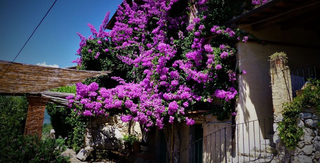 Peralta Tuscany