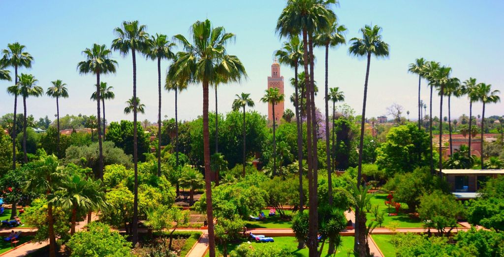 Kappa City Medina Gardens Marrakech 4* - Adults Only