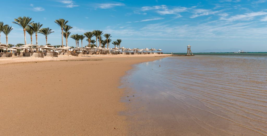 Albatros Sharm by Pickalbatros 4*