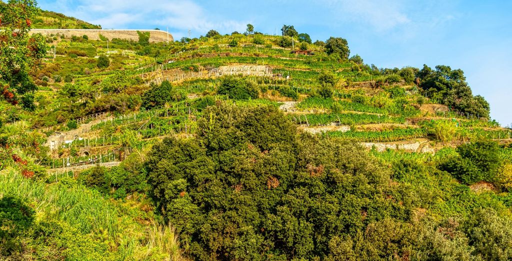 Tour dalle Langhe alle Cinque Terre