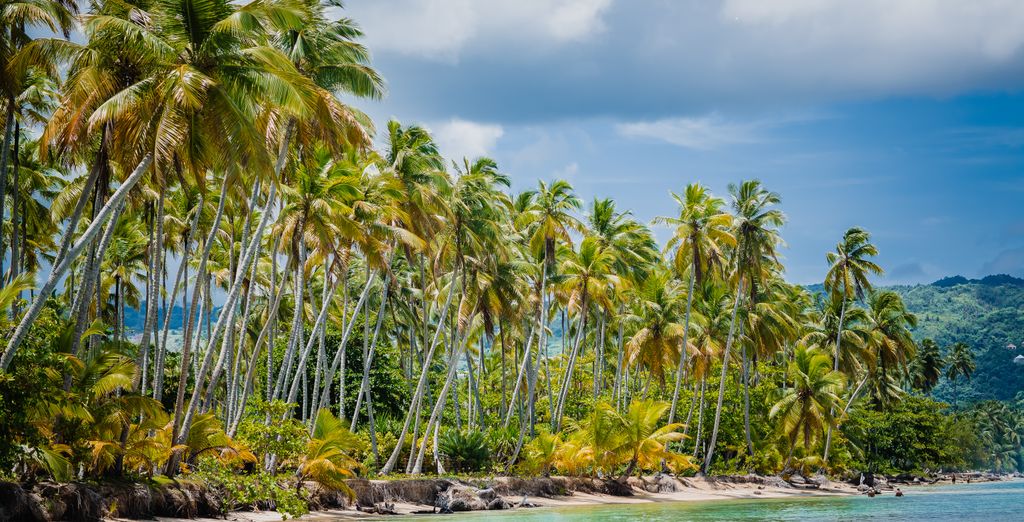 Combinato Westin Playa Bonita 4* e Gamboa Rainforest Reserve 5*