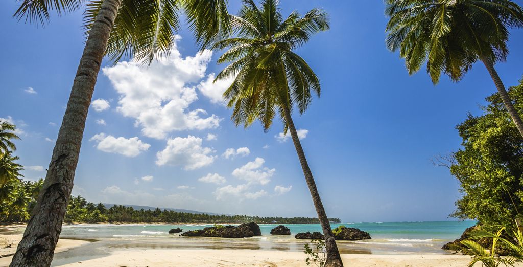 Combinato Westin Playa Bonita 4* e Gamboa Rainforest Reserve 5*