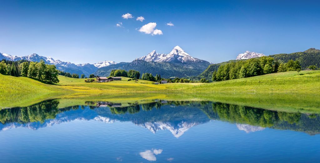 Aves Arosa