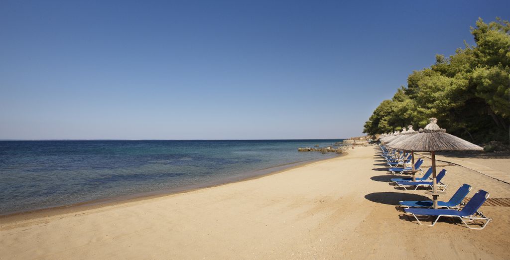 Blue Dolphin Resort Hotel 4*