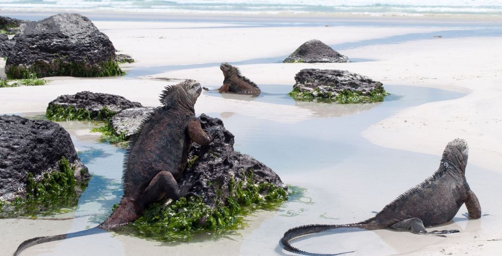 Les paradis naturels de l'Equateur en 10 ou 14 nuits