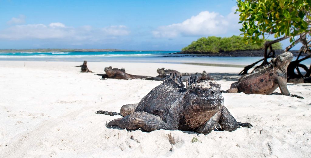 Les paradis naturels de l'Equateur en 10 ou 14 nuits