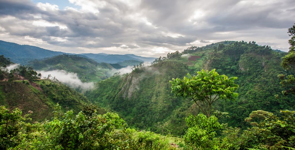 Circuit privatif - Découverte et premiers pas au Rwanda - Rwanda - Jusqu’à -70 % | Voyage Privé&nbsp;