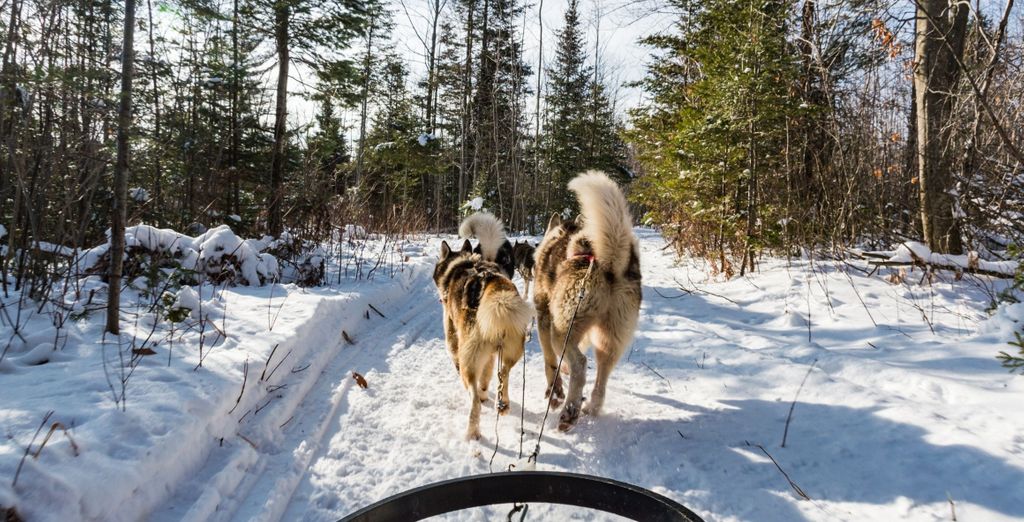 Tour privato di 9 notti del Canada in inverno