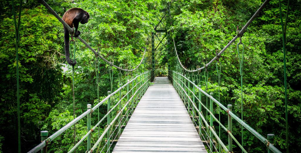 Autotour di 10, 12 o 14 notti Le bellezze tropicali della Costa Rica