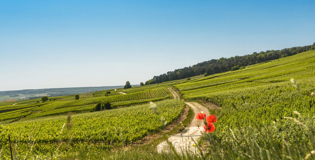 Hôtel Aux armes de Champagne 4*