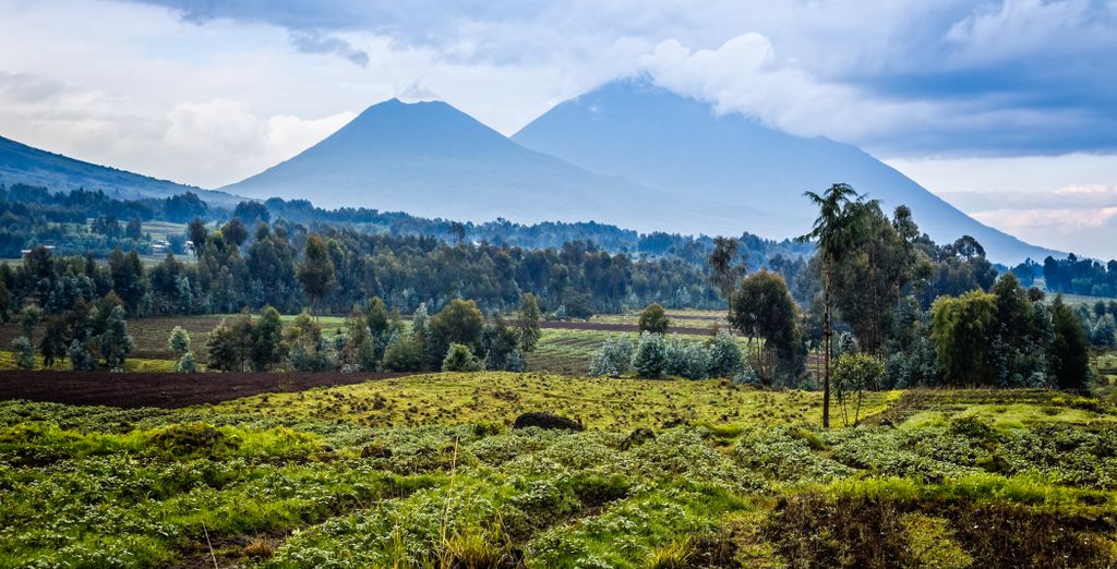 Circuit privatif - Découverte et premiers pas au Rwanda - Rwanda - Jusqu’à -70 % | Voyage Privé&nbsp;