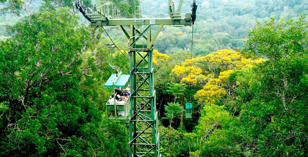 Tour da 7 a 10 notti tra sabbia, bradipi e grattacieli a Panama