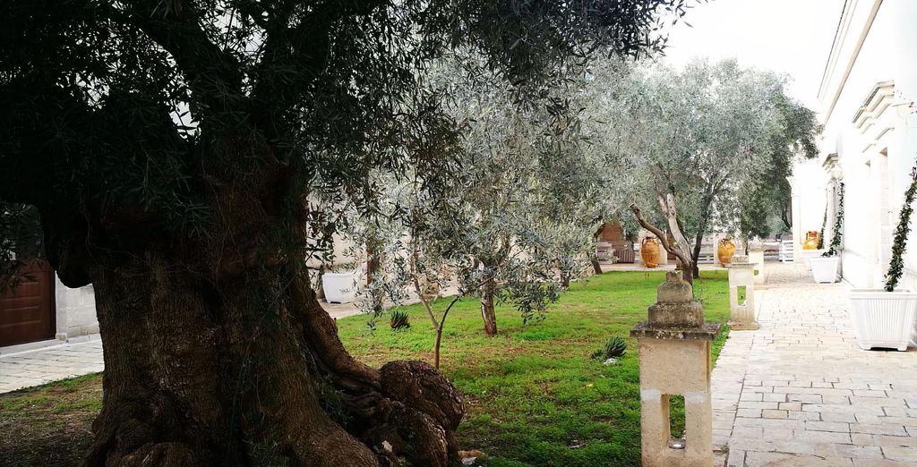 San Leonardo - Agriturismo 4*