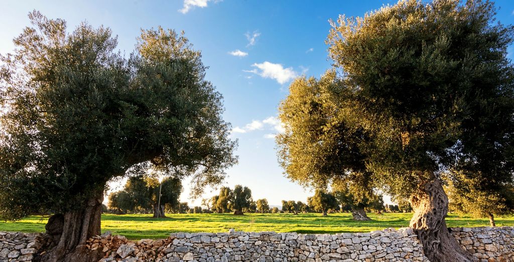 San Leonardo - Agriturismo 4*
