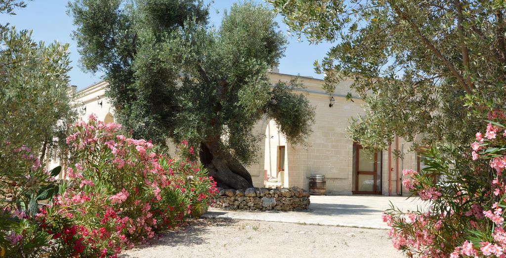San Leonardo - Agriturismo 4*