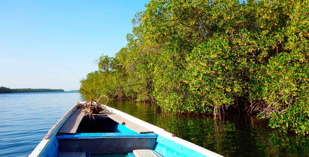 Tour privato di 7 notti il Senegal autentico con possibile estensione al mare