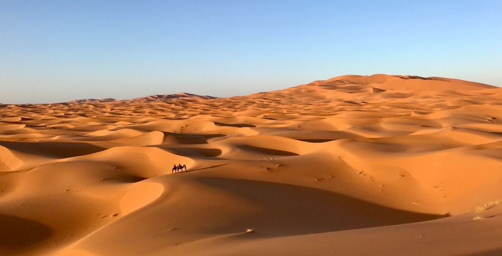 Desert mixed. Desert mixed. Песчаные дюны рын-песков. Desert mixed. Эль хамра пустыня.